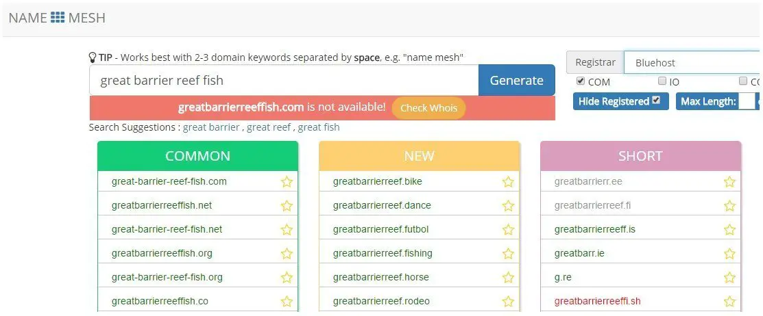 using name mesh to choose website names