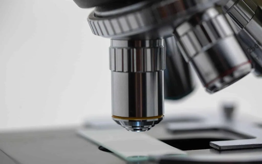 Under the microscope