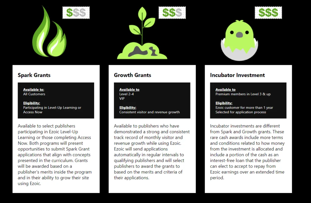Ezoic Grants available to grow your website